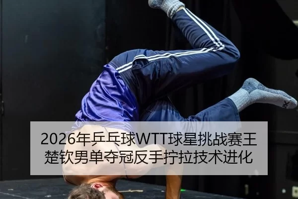 nian-ping-pang-qiu-qiu-xing-tiao-zhan-sai-wang-chu-qin-nan-dan-duo-guan-fan-shou-ning-la-ji-shu-jin-hua-2-240.jpg