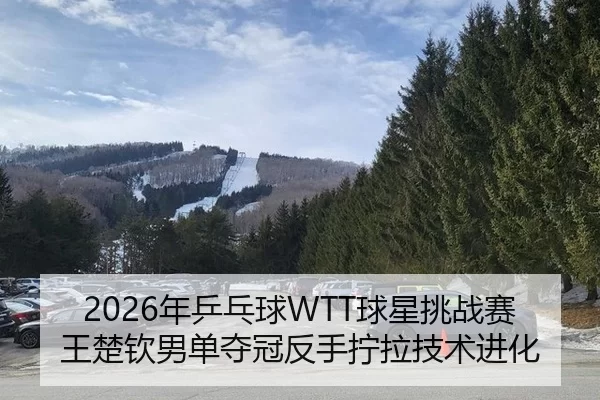 2026年乒乓球WTT球星挑战赛王楚钦男单夺冠反手拧拉技术进化